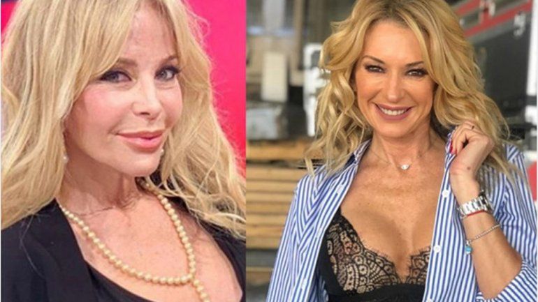 La guerra de tuits entre Alfano y Yanina Latorre: Ni en el país la quieren