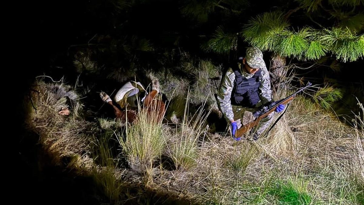 Los detuvieron tras cazar una vaca en un campo de Junín de los Andes
