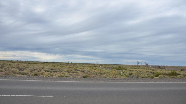 Para desarrollar este proyecto se utilizarán 142 hectáreas de un total de 520.&nbsp; 