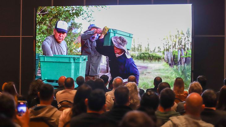La cepa insignia tuvo su día de encuentro en Neuquén. La cepa insignia tuvo su día de encuentro en Neuquén.