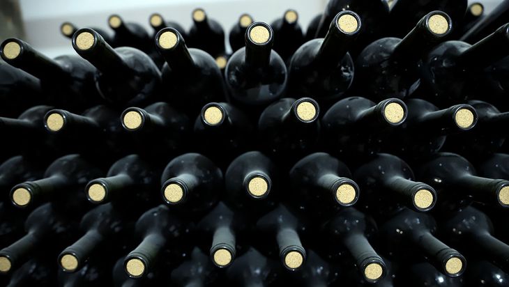 Senillosa, Neuquén: un sueño, una familia, una botella de vino.