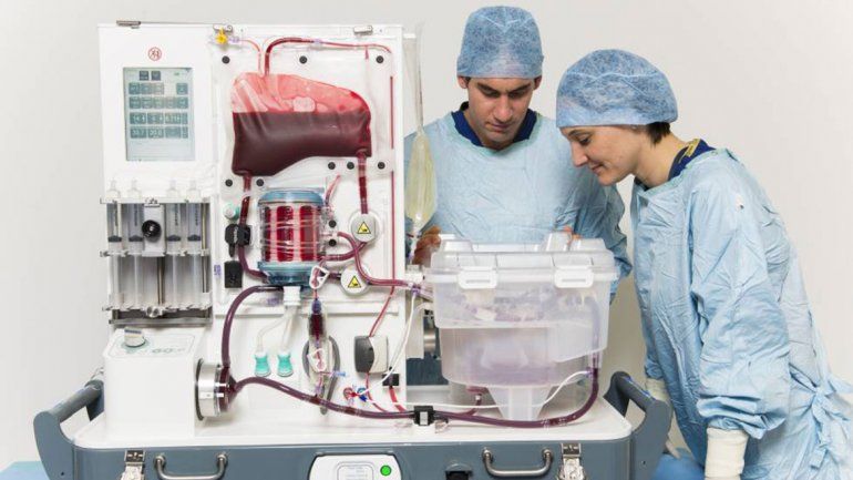 Día Mundial del trasplante de órganos y tejidos