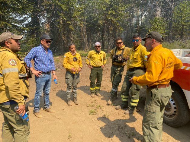 El Ejército montará un campamento para 100 brigadistas en Aluminé