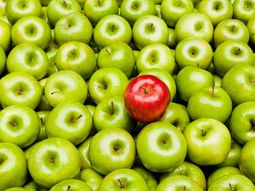 Menos manzana en stock. El mercado espera un equilibrio entre la oferta y la demanda. Menos manzana en stock. El mercado espera un equilibrio entre la oferta y la demanda.