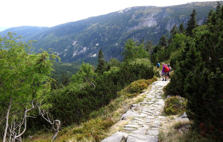 Misterio: salieron a caminar por la montaña y encontraron una extraña caja abandonada