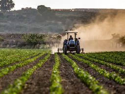 El informe económico detalla que la actividad en Argentina cerró el año 2025 con un crecimiento interanual impulsado por el desempeño excepcional del sector agropecuario. El informe económico detalla que la actividad en Argentina cerró el año 2025 con un crecimiento interanual impulsado por el desempeño excepcional del sector agropecuario.