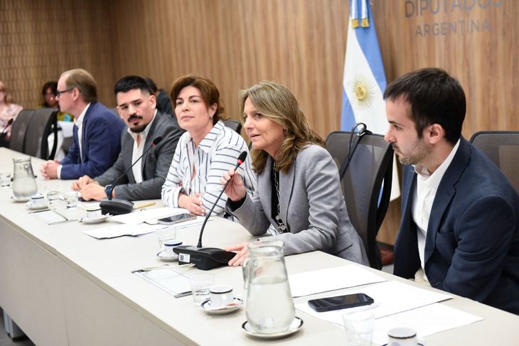 Tettamanti expuso en la Comisión de Industria de la Cámara Baja. Tettamanti expuso en la Comisión de Industria de la Cámara Baja. 