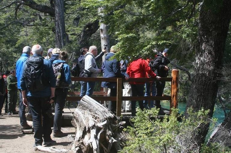 Miles de turistas llegan cada año a Esquel para conocer el Alerce Abuelo de la Patagonia argentina. Miles de turistas llegan cada año a Esquel para conocer el Alerce Abuelo de la Patagonia argentina.