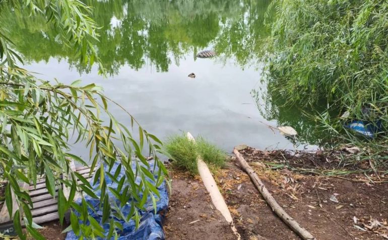 Peces muertos en Senillosa: detectan un pozo cloacal clandestino en una vivienda