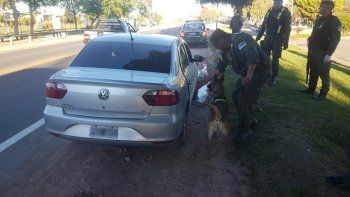 secuestran marihuana en cutral co y zapala secuestran marihuana en cutral co y zapala