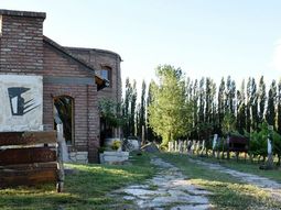 El norte neuquino y una bodega emblemática. El norte neuquino y una bodega emblemática.