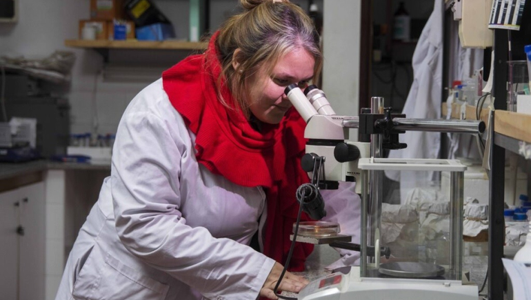 Nueva estrategia contra las bacterias resistentes