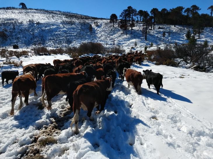 Desde el ministerio enfatizan la importancia de las buenas prácticas. Foto de Pedro Ochoa. Desde el ministerio enfatizan la importancia de las buenas prácticas. Foto de Pedro Ochoa.