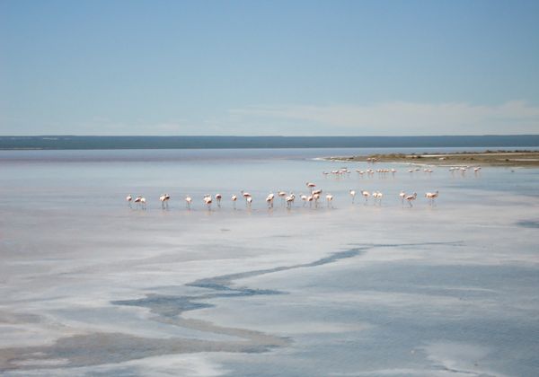 La Salina del Gualicho bajo agua, un paisaje asombroso