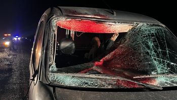 violento choque entre un vehiculo y un caballo: el animal termino decapitado violento choque entre un vehiculo y un caballo: el animal termino decapitado