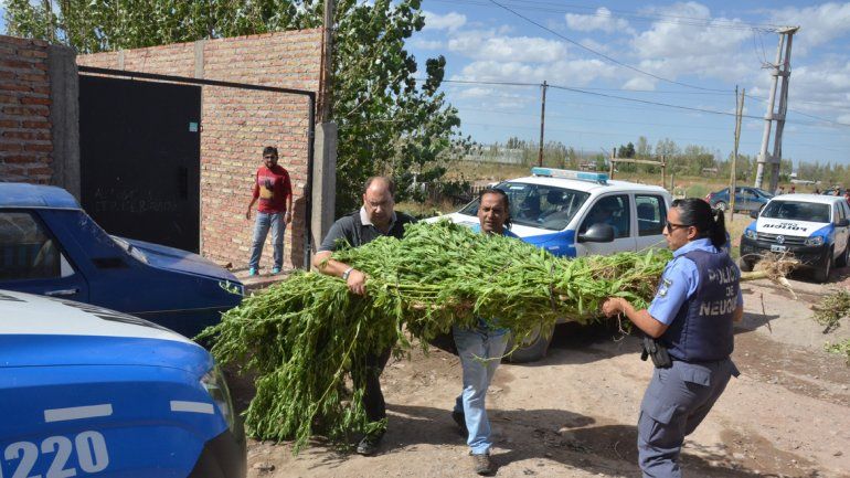 Golpe. En Centenario