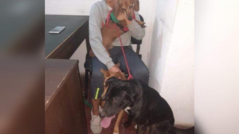 Dictan una perimetral a un joven por maltratar a su perra