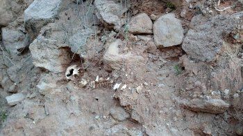 hallaron el cadaver de un nino en las bardas de la isla jordan hallaron el cadaver de un nino en las bardas de la isla jordan