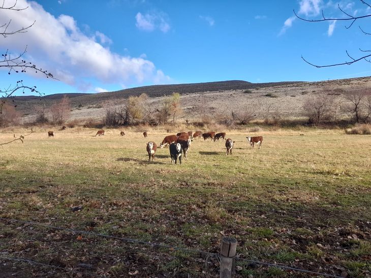 Agilizan gestiones para el agro. Foto: gentileza. Agilizan gestiones para el agro. Foto: gentileza.