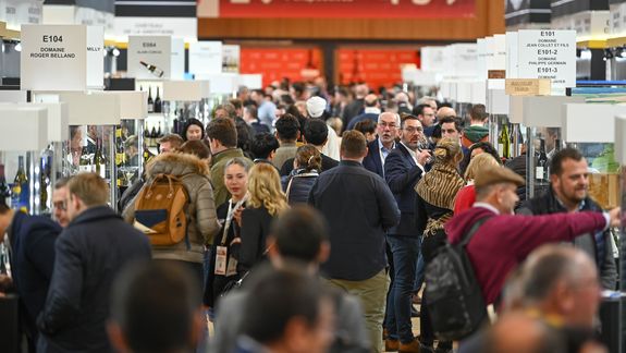 Bodegas de Patagonia que participan de Wine Paris 2025