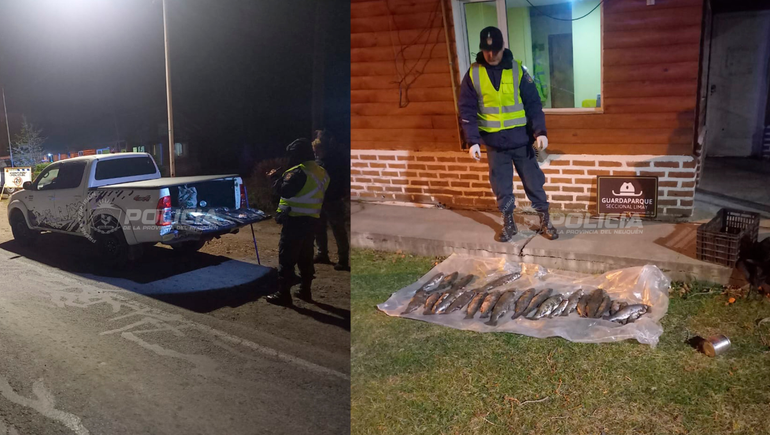 Decomiso de truchas en el río Limay. Decomiso de truchas en el río Limay.