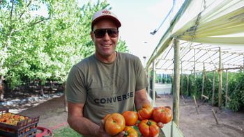 ON - Productor de tomates variedades Centenario (6).jpg