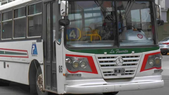 colectivo transporte chubut