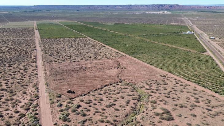 Un oasis en la estepa: La vista aérea de Olivares del Neuquén revela el contraste entre el verde de los cultivos y la aridez del paisaje patagónico. Un oasis en la estepa: La vista aérea de Olivares del Neuquén revela el contraste entre el verde de los cultivos y la aridez del paisaje patagónico.