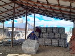 Se vendieron 40.000 kg de lana. Se vendieron 40.000 kg de lana.