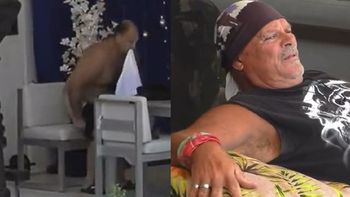 El desnudo de Ariel que calentó a Alfa.jpg