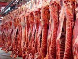 Dato positivo: vuelve a crecer la faena de animales.