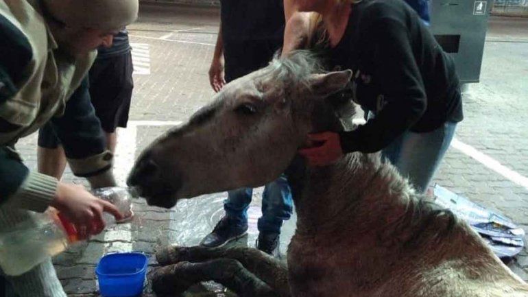 Todo ocurrió en la ciudad de Córdoba. Los agresores escaparon.