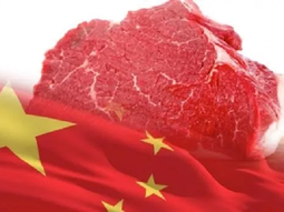 China aumenta sus proveedores de carne en Latinoamérrica y esto genera una fuerte competencia para oferta argentina. China aumenta sus proveedores de carne en Latinoamérrica y esto genera una fuerte competencia para oferta argentina.