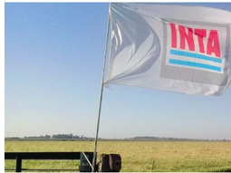 Durante 75 días se analizará toda la planta de personal del INTA. Durante 75 días se analizará toda la planta de personal del INTA.