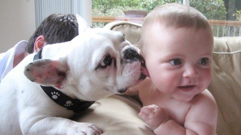 Claves para que el crecimiento de la familia sea una felicidad compartida por todos sus integrantes.