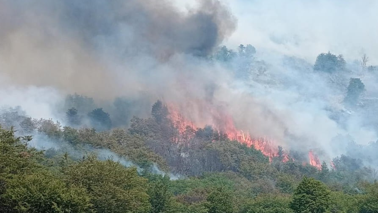 El incendio en Valle Magdalena ya quemó más de 15 mil hectáreas / Foto Parque Lanín