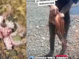 Estiman que el pulpo hallado en el muelle de San Antonio Oeste pesó cerca de 2 kilos y midió al menos 2 metros. Estiman que el pulpo hallado en el muelle de San Antonio Oeste pesó cerca de 2 kilos y midió al menos 2 metros.