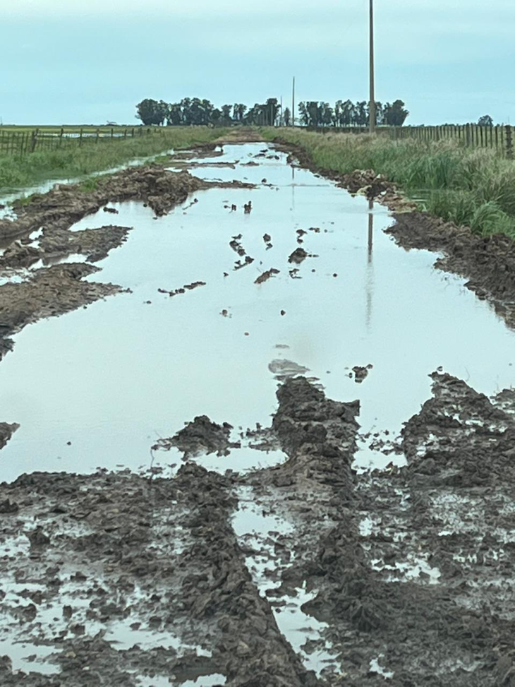 La Dirección de Vialidad Rural fiscalizará las obras, que deben cumplir especificaciones técnicas. Foto: zonacampo.com.ar La Dirección de Vialidad Rural fiscalizará las obras, que deben cumplir especificaciones técnicas. Foto: zonacampo.com.ar