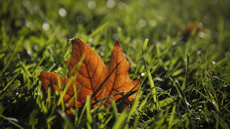 ¿Por qué el otoño comienza hoy y no el 21 de marzo?