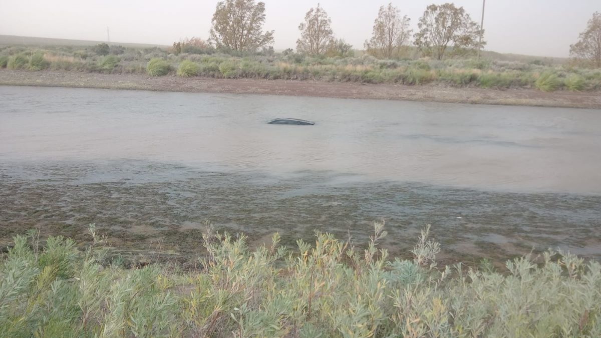 El viento sacudió a Cipo: hubo árboles caídos y un auto terminó en un canal