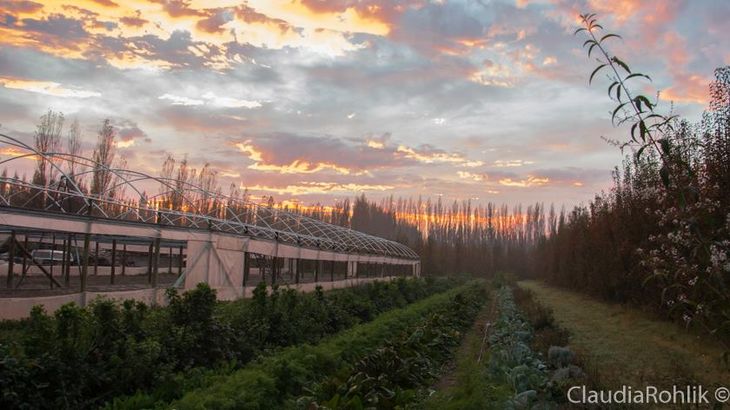 La producción orgánica está regida y amparada bajo la Ley Nacional 25.127. La producción orgánica está regida y amparada bajo la Ley Nacional 25.127.