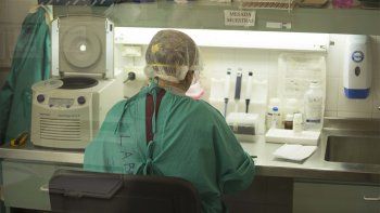 advierten que la cepa manaos ya podria circular en cipolletti advierten que la cepa manaos ya podria circular en cipolletti