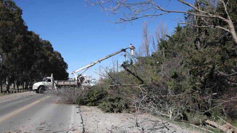 La Ruta 7 está cortada por árboles caídos y reparación del tendido eléctrico