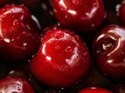 La variedad permite estudiar los mecanismos genéticos y moleculares que regulan la latencia invernal en los frutales. La variedad permite estudiar los mecanismos genéticos y moleculares que regulan la latencia invernal en los frutales.