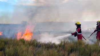 El incendio se reavivó este viernes por la mañana en Senillosa / Foto Gentileza