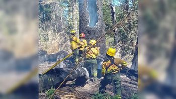 extinguieron dos focos de incendios en la provincia de neuquen extinguieron dos focos de incendios en la provincia de neuquen