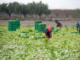 La nueva normativa establece cambios en la entrega del certificado laboral y obliga a las empresas a reorganizar sus procesos internos. La nueva normativa establece cambios en la entrega del certificado laboral y obliga a las empresas a reorganizar sus procesos internos.