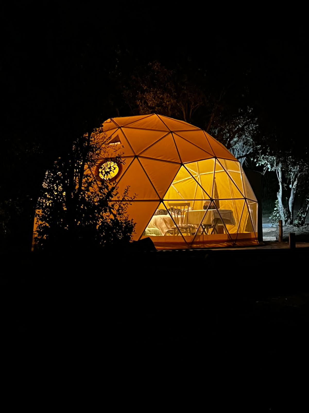 La experiencia de glamping en Villa Pehuenia: domos a orillas del lago o inmersos en el bosque patagónico