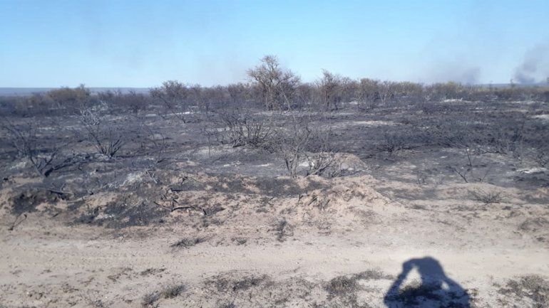 El INTA estimó que resultaron afectadas cerca de 3.000 hectáreas. (Foto gentileza) 
