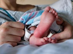 La política natalista en Rusia incorpora medidas que buscan aumentar los nacimientos y generan debate sobre la intervención estatal. La política natalista en Rusia incorpora medidas que buscan aumentar los nacimientos y generan debate sobre la intervención estatal.